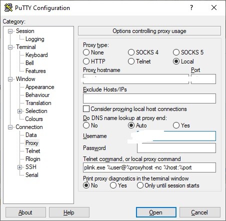 python proxy server settings